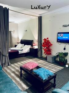 ein Hotelzimmer mit einem Bett und einem TV in der Unterkunft LUXURY Penthouse APARTMENT park and hills view - LUXURY standard APARTMENT lower floor in Islamabad