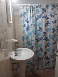 ein Badezimmer mit Waschbecken und Duschvorhang in der Unterkunft Casa Quinta El Cultivo in San Antonio de Areco