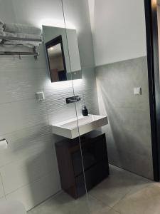 a bathroom with a sink and a shower at Firstclass Event & Hotel in Fürth
