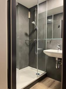 a bathroom with a shower and a sink at Rudolfquartier Linz, Rudolfstraße in Linz