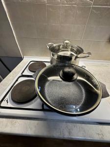 a pot and a sink on top of a stove at 1-room apart. 21 on Usenbaeva 52 near Eurasia shopping center in Bishkek
