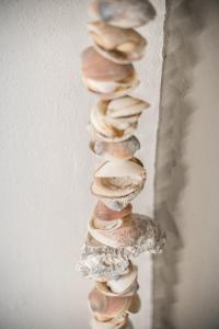 a group of shells stacked on a wall at La Casa di Valeria - Modena in Modena