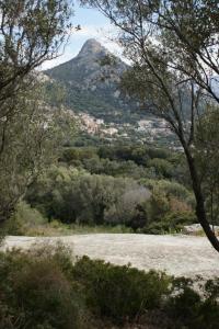Un paisaje natural cerca del chalet de montaña