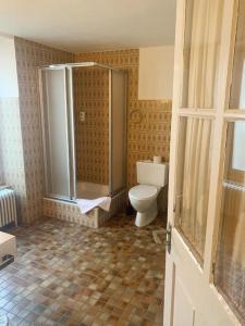 ein Bad mit einer Dusche und einem WC. in der Unterkunft Hotel Rebstock Meiringen in Meiringen