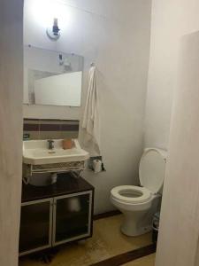 Tropicália Hostel e Pousada في إيتاكاري: حمام مع مرحاض ومغسلة ومرآة