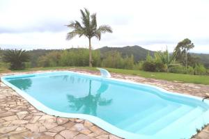 een blauw zwembad met een palmboom op de achtergrond bij Chácara Shekinah in Biritiba-Mirim