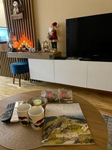 TV a/nebo společenská místnost v ubytování Apartments Gora