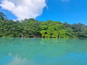 a view of a body of water with trees at 7 CIELOS BACALAR. in Bacalar