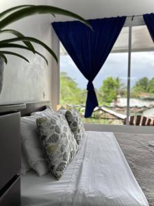 a bedroom with a bed with pillows and a window at Hotel Serendipity in Tortuguero