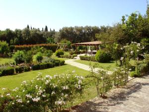A garden outside Dallas Hotel