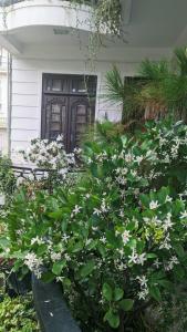 Ein paar weiße Blumen vor einem Haus in der Unterkunft Wasabi House - Homestay bên chợ đà lạt in Da Lat