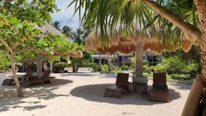 a patio with chairs and umbrellas and palm trees at Pili Beach Resort Agmanic in Santa Fe