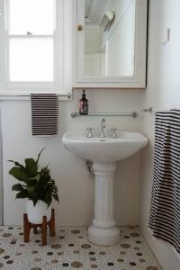 łazienka z umywalką i doniczką w obiekcie Sunset Beach House w mieście Soldiers Point