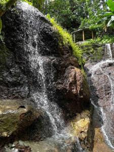 Mynd úr myndasafni af Nature World St.Lucia í Castries