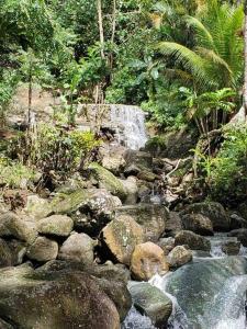 Mynd úr myndasafni af Nature World St.Lucia í Castries