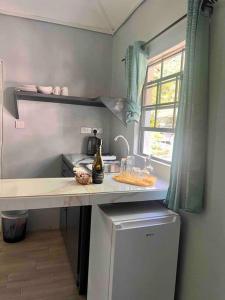 a kitchen with a counter with a sink and a window at Nature World St.Lucia in Castries