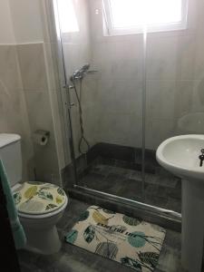 a bathroom with a shower and a toilet and a sink at Apartamento Llana in Santa Maria +17 photos