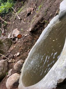 Mynd úr myndasafni af Nature World St.Lucia í Castries