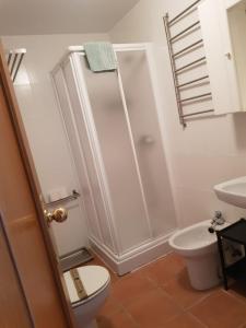 La salle de bains est pourvue d'une douche, de toilettes et d'un lavabo. dans l'établissement LOS VALLES SKY, à Sierra Nevada