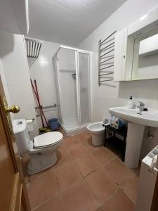La salle de bains est pourvue de toilettes, d'un lavabo et d'une douche. dans l'établissement LOS VALLES SKY, à Sierra Nevada