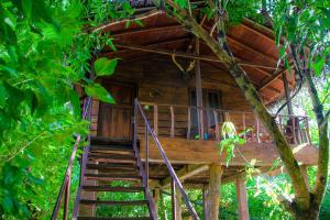 a staircase leading to a tree house in the woods at Kolon Resort Sigiriya in Sigiriya