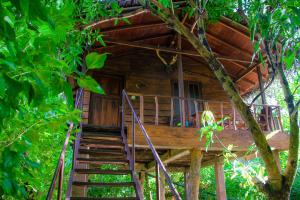Zahrada ubytování Kolon Resort Sigiriya