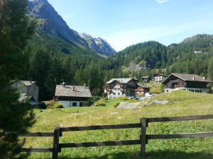 a group of houses in a field with a fence at Appartamento Monte Rosa in Champoluc