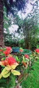a garden with flowers and a table and trees at Mountain Paradise Homestay in Bandarawela