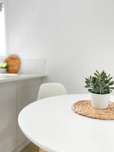 une table blanche avec une plante en pot en haut dans l'établissement 83 Appin - Newly renovated house, à Wangaratta