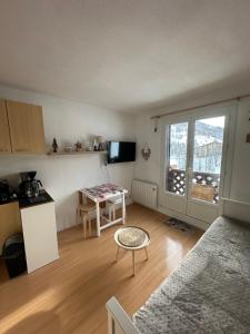 TV a/nebo společenská místnost v ubytování Le shuss 5 la foux D allos