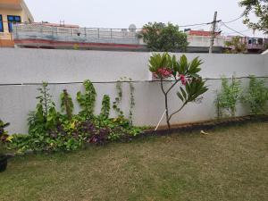 een wit hek met planten en bloemen in een tuin bij Home sweet home in Jaipur