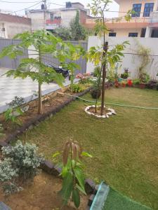 een tuin met twee bomen in een tuin bij Home sweet home in Jaipur