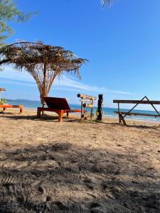 a picnic table and a tree on the beach at BaanYaiGuesthouse in Ko Mak