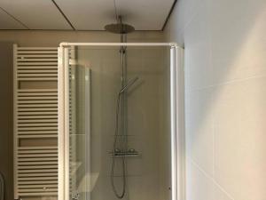 une douche avec une porte vitrée dans une salle de bain dans l'établissement Casa Alegría, à Trente