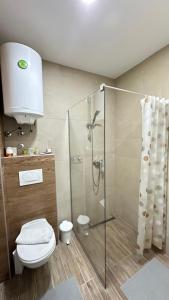 a bathroom with a toilet and a glass shower at Apartman Vana in Kopaonik