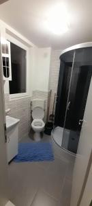 VulcanにあるDALLAS Apartament 31のバスルーム(トイレ、青い敷物付きのシャワー付)