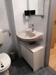 ein Bad mit einem Waschbecken und einem WC in der Unterkunft Apartment Moser in Lutzmannsdorf