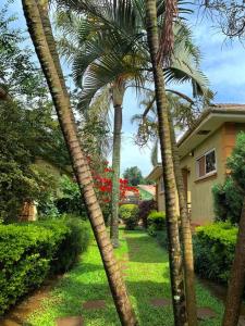 a group of palm trees in front of a house at House in Kampala in Kampala