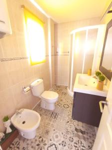 ein Bad mit einem WC, einem Waschbecken und einer Dusche in der Unterkunft Acceso directo a playa naturista de Vera in Vera