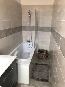 ein Badezimmer mit Dusche, Toilette und Waschbecken in der Unterkunft L'Ecrin de Lena in Épernay