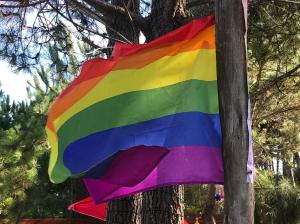 a rainbow colored flag hanging on a tree at Naturista exclusivo HOMBRES in Punta del Este