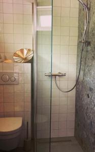 een badkamer met een glazen douche en een toilet bij Bed and breakfast de Heg in Geldrop