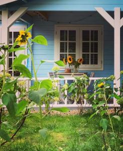 een blauw huis met zonnebloemen op de veranda bij Bed and breakfast de Heg in Geldrop