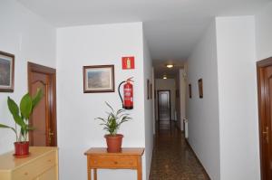 Fotografie z fotogalerie ubytování LABELLA - Hostal Rural Restaurante v destinaci La Calahorra