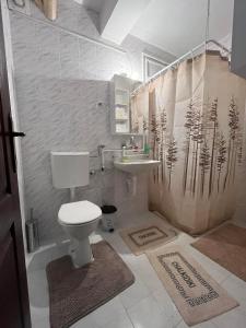 a bathroom with a toilet and a sink at Apartman Cogan - 100m from Gondola - Brzece in Kopaonik