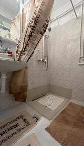 a bathroom with a shower and a sink at Apartman Cogan - 100m from Gondola - Brzece in Kopaonik