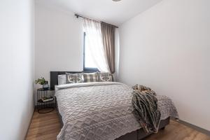 a bedroom with a bed and a window at Apartamenty Przełom Białki - plac zabaw, wiata grillowa in Białka Tatrzanska
