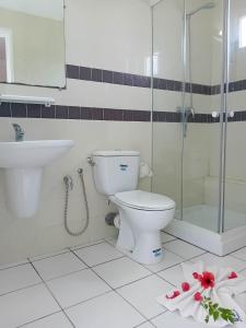 La salle de bains est pourvue de toilettes, d'une douche et d'un lavabo. dans l'établissement Hôtel Romane, à Hammamet