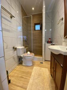 y baño con aseo, lavabo y ducha. en 360ᵒ Lepanto Apartment, en Nafpaktos