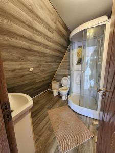 a small bathroom with a toilet and a shower at Vila Elisa 